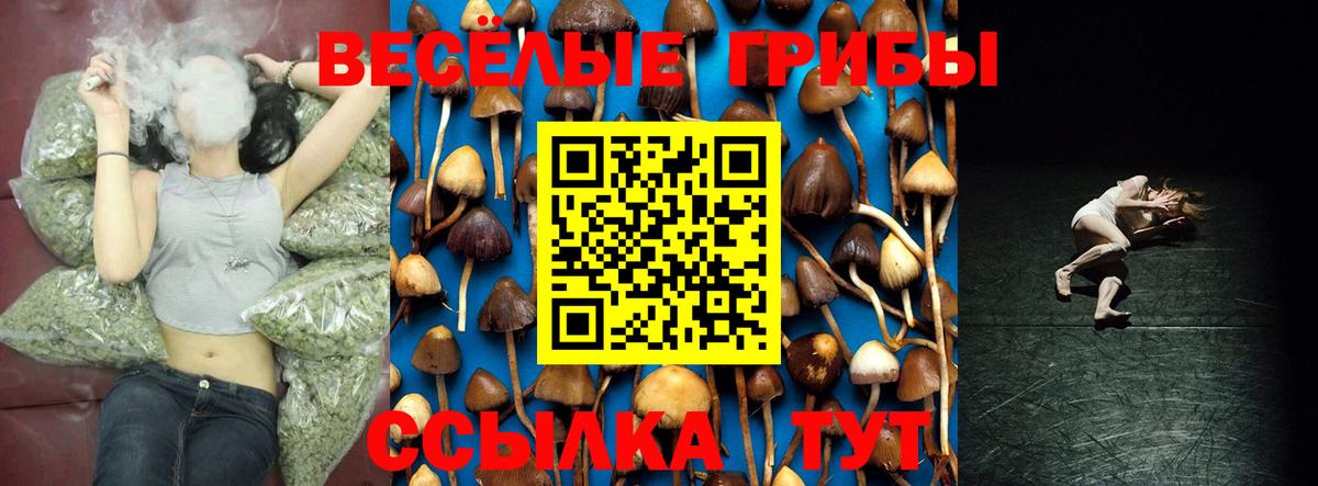 Галлюциногенные грибы Psilocybe  Псилоцибиновые грибы прущие грибы  Вход с VPN  Ликино-Дулёво 